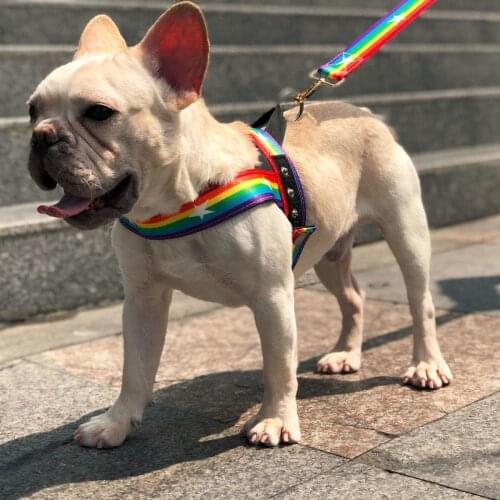 Pets Dog Leashes Harnesses Belt Tow Rope Method Explosion-proof Punching Chest Straps Rainbow Type Puppy Harnesses Leashes