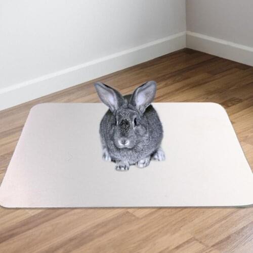 Rabbit Cooling Mat Pet Hamster Aluminum Cool Ice Pad Sleeping Bed Plate For Bunny Puppy Kitten Chinchilla Cooling Plate