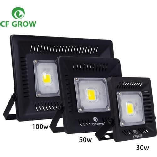 LED Flood Light Waterproof IP67 30W 50W 100W AC COB LED Floodlight 110V 220V Outdoor Wall Garden LED Lighting