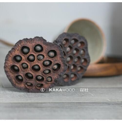 1pcsDried Flowers Natural Plants Real Rod Large Lotus Seedpod Single Bottle with Seeds Dried Flowers Bouquet Decoration Living