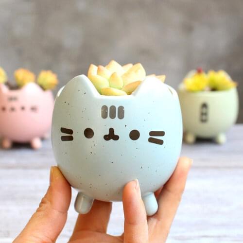 Pot Succulent Plant With Hole Cute Animal Flower Planter Flowerpot Lovely Little Cat Birthday Gift Home Garden Decor Bonsai Pots