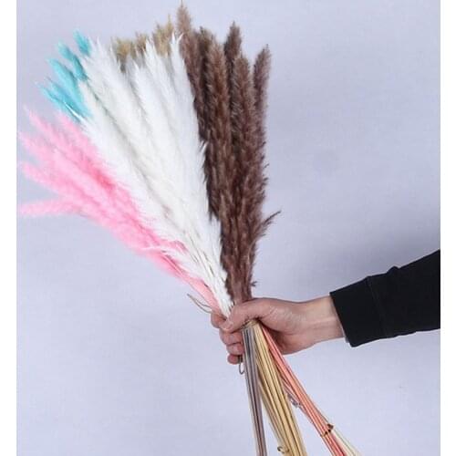 30Pcs/Lot Natural Plants Dried Flower Reed Bouquet For Home Decor Small Pampas Grass Wedding Phragmites Bunch Flores Preservadas