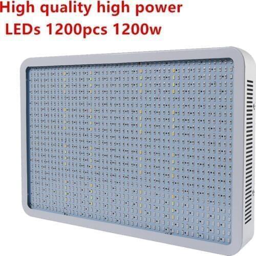 Bing Vision Professional Lighting