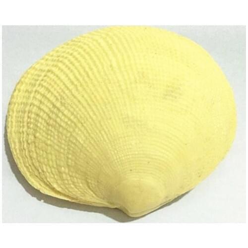 Free shipping handmade soap silica gel mould candle soap mould silicone mold for DIY shell