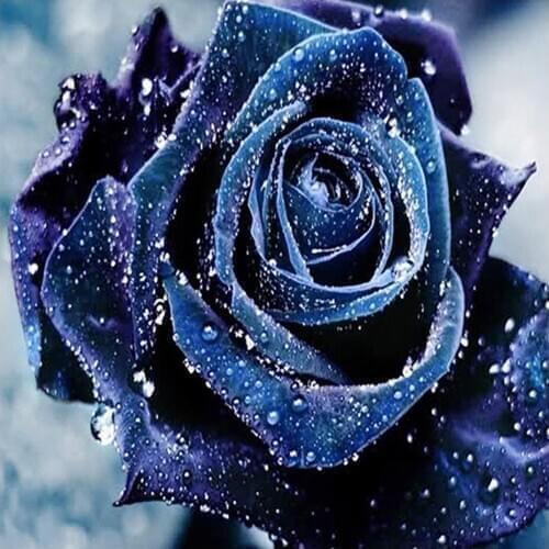 30x30 Diy Diamond Painting 5d for Home Decor , Living Room Decoration ，Blue Enchantress, The Appointment of Roses