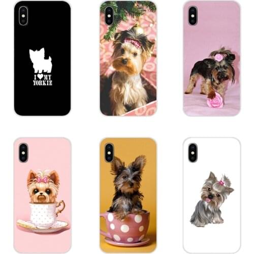 For Samsung A10 A30 A40 A50 A60 A70 M30 Galaxy Note 2 3 4 5 8 9 10 PLUS Transparent Soft Case Covers Yorkshire terrier dog puppy