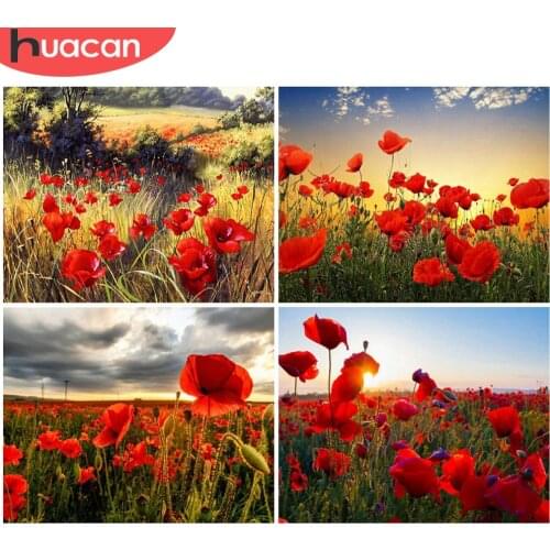 HUACAN Painting By Number Poppy Flower Kits For Adults Handpainted On Canvas DIY Coloring By Number Sea Of Flowers Home Decor