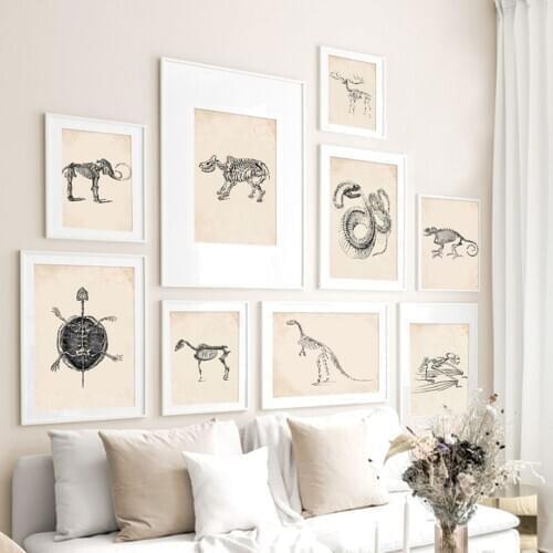 Canvas Painting Vintage Horse Skeleton Animal Anatomy Wall Art Nordic Posters And Animes Wall Pictures anime decoration