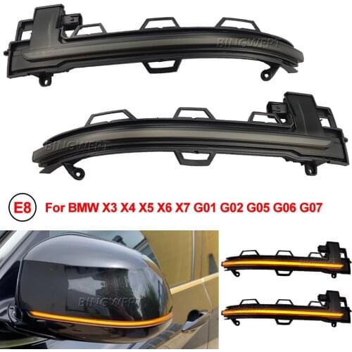 LED Turn Signal Light For BMW X3 X4 X5 X6 X7 G01 G02 G05 G06 G07 2018 2019 2020 Dynamic Side Mirror Blinker Indicator