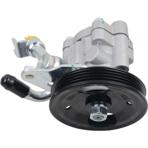 AP02 Car Power Steering Pump for Nissan 2003-2007 Murano S Murano (submodel: SE, SL) 49110-CA000 49110-9W100 49110-CB000