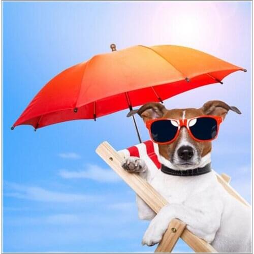 Sun umbrella & dog Square full drill diamond embroidery needlework cross stitch set resin diamond painting wall picture HL608