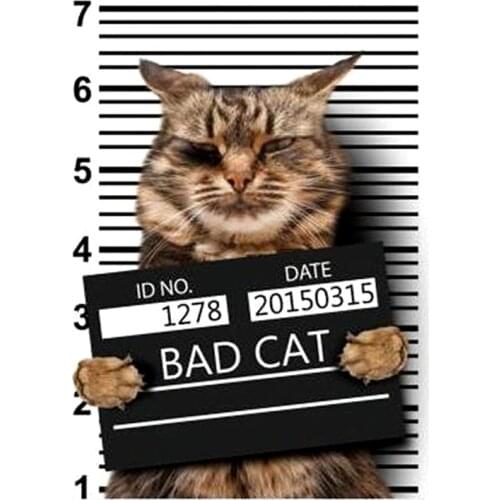 Clothing Patches BAD CAT Pattern Iron On Patches Thermal Transfer Printing DIY Stickers for Clothes Fashion Style Decoration