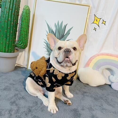 Fashion Schnauzer Hoodie Pet Dog Clothes with Backpack Winter Warm Sweater Jacket Coat For Small Medium Dogs Yorkie Teddy YHC42