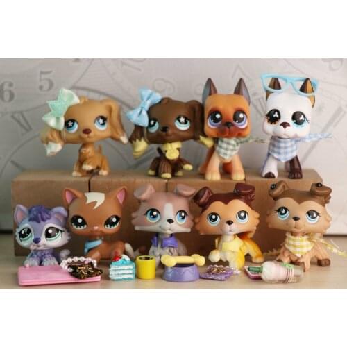 Pet shop Collie 893 363 58 Raise paw Husky 1018 Dachshund 909 Short hair cat