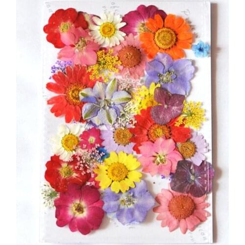 Design-4 40pcs Mixed Pressed Dried Flower Leaves Filler For Epoxy Resin Jewelry Making Postcard Frame Phone Case Craft DIY