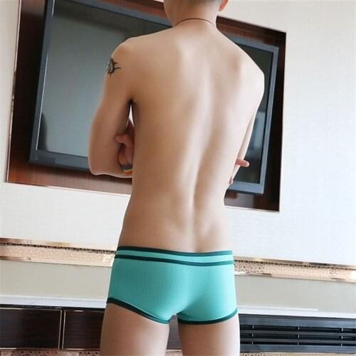 New mens underwear Mesh ice silk u convex pouch sexy breathable boxers quick drying Ropa Cueca Man Underpants M/L/XL/XXL