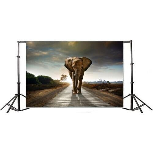 Photography Backdrop Dreamy Fairy Tale Elephant Ric Road Colrful Sky Nature