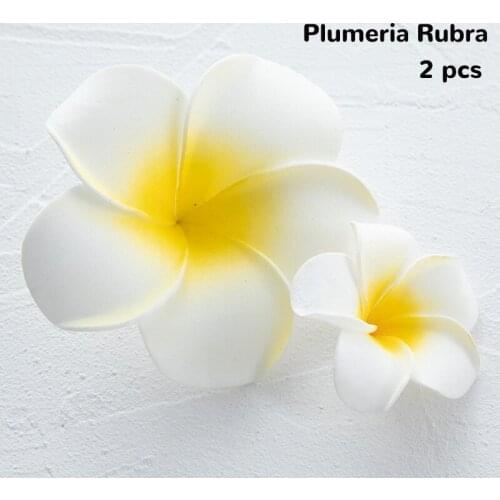 Photo Props Sun Flower Studio Photography Background Props Jewelry Cosmetics Food Photo Background Props Still Life Photography