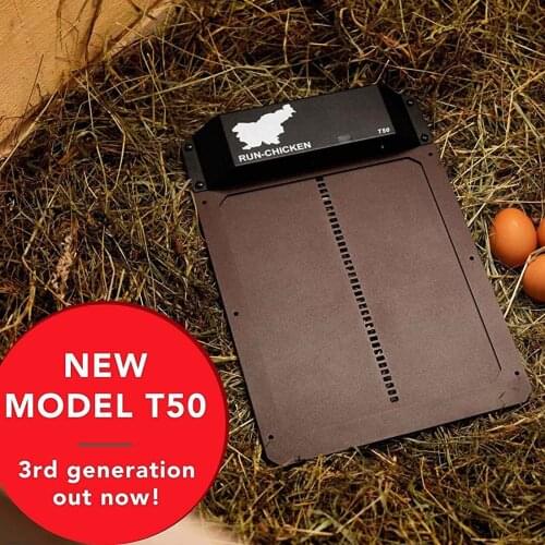 2 in 1 Rotating Curling Iron Brush Constant Temperature Hot Air Comb Automatic Hair Comb Rotating Curling Iron Brush