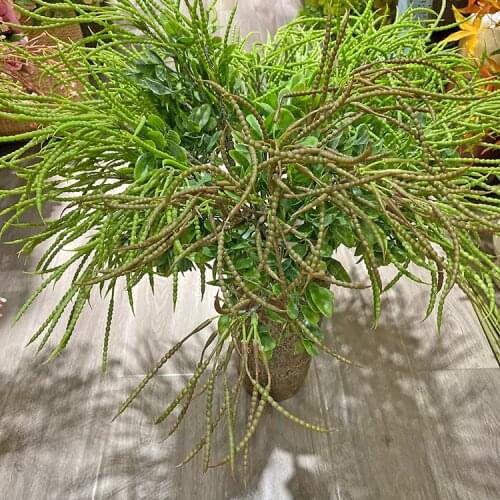 Simulation fake grass indoor living room flower decoration ornaments green plant decoration flower mung bean fruit wild grass