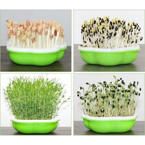 Peanut Sprout Hydroponic Box Breathable Seedling Tray Seed Starter for Gardening Bonsai Moisturizing Au12 21 Dropship