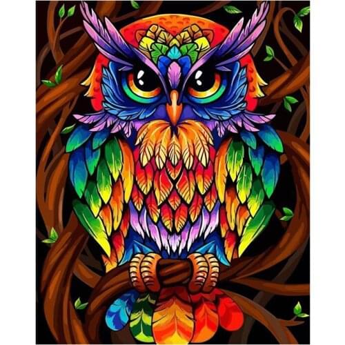 Painting By Numbers DIY Dropshipping 60x75cm Beautiful colorful cool owl Animal Handmade Gift For Adult Unique Gift Home Decor