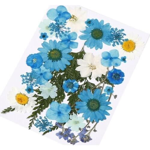 Mixed Multiple Pressed Flowers Real Pressed Dried Flowers Natural Dried Flowers DIY Resin Jewellery Making(0.04-1.2inch)