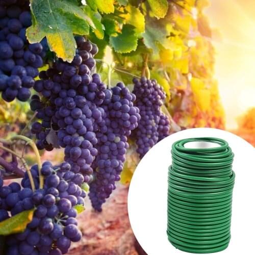 1 Roll Plant Fastener Gardening Cable Tie Garden Flexible Wire Tie Soft Twist Reusable Plant Support Tool For Garden Plant Hold