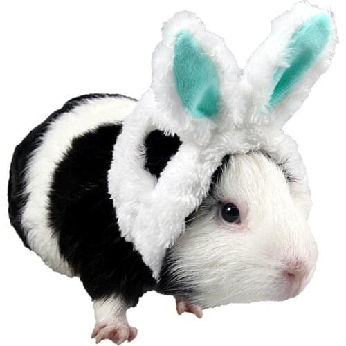 Pets Cat Guinea Pig Hats Keep Warm Accessories Lovely Ears Rabbit Ear Headgear Pet supplies