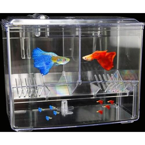 Outer Hanging Alga Breeding Box Incubator Isolation Nursery House Aquarium Accessaries