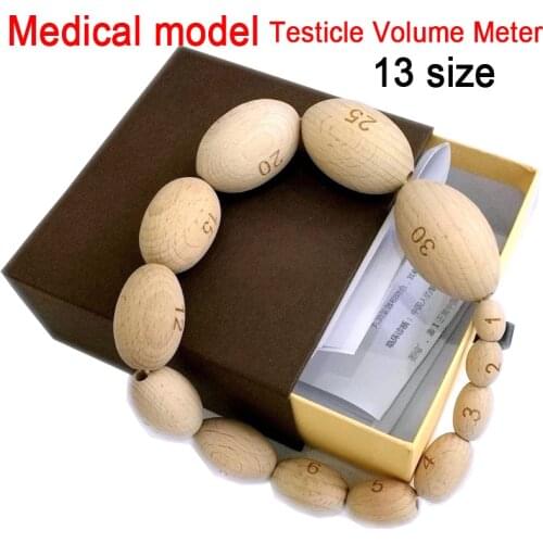 Orchidometer Male testicular volume meter 13 testicular size measurement models