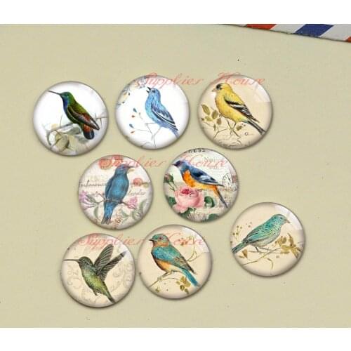 Handmade Round Bird photo glass Cabochons, Jewelry Finding Cameo Pendant Settings, (F037-520)