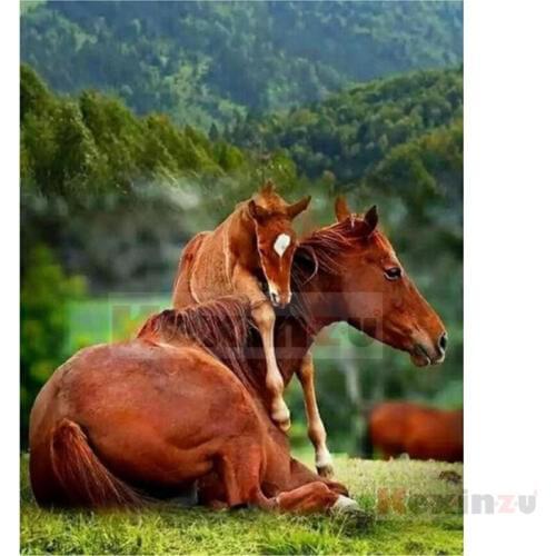 Kexinzu Full 5D DIY Square/Round Drill Diamond Painting "Animal Horse" 3d Diamond Embroidery Cross Stitch Decor Gift D17