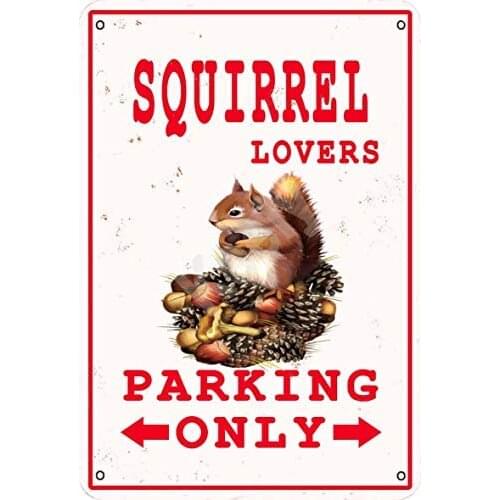 Keely Squirrel Lovers Parking Only Metal Vintage Tin Sign Wall Decoration 12x8 inches for Cafe Coffee Bars Restaurants Pubs Man