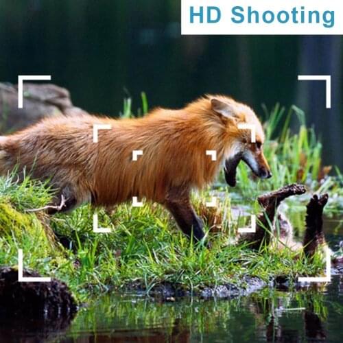 Outdoor Hunting Camera Wildlife Scouting Waterproof Game Trail Cam Farm