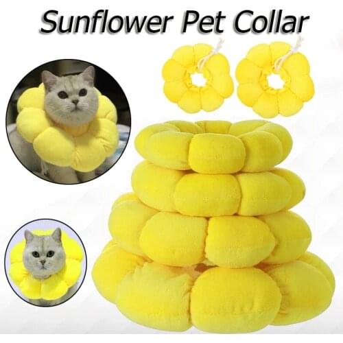 Ошейники для кошек JornioPet China At AliExpress