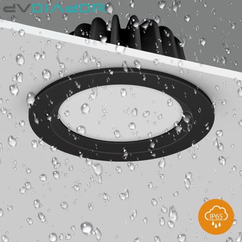 Bathroom Waterproof LED Downlight 15W 12W IP65 Recessed LED lamp lights for Outdoor waterproof Spot light AC220V 110V