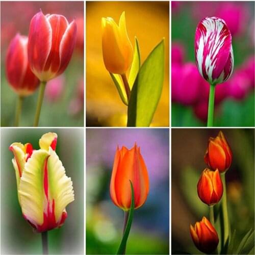 Diy Full Square Round Drill 5D Diamond Painting Cross Stitch Kits Diamond Embroidery "Rose Flower Landscape" Home Decor Gift