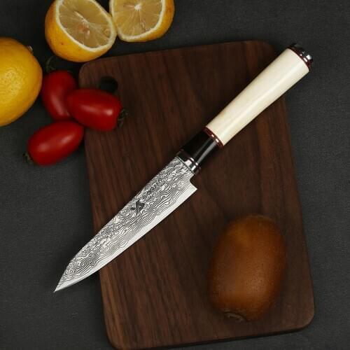 BIGSUNNY Handmade Utility Knife, Slicing Knife Fruit Knives - Supper Damascus Steel - 5.2 Inch Blade - Ox Bone Handle