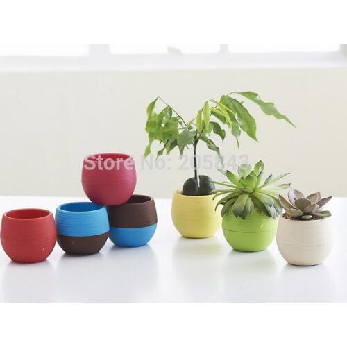 10 pcs/lot circular fashion Korea meaty plant flower pot Mini stone flower pot Rainbow Desktop flower pot