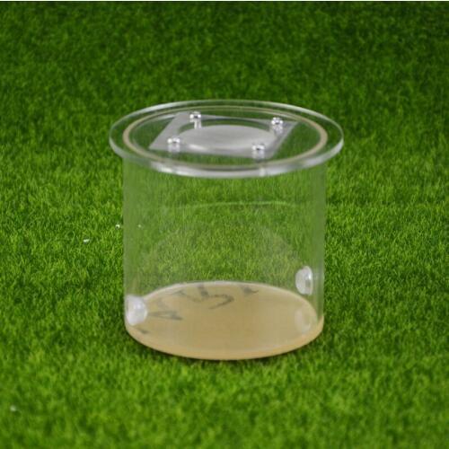 Round ant farm food feeder,food feeding area for ant nest ,ant farm acryl or insect nests villa pet mania for house ants