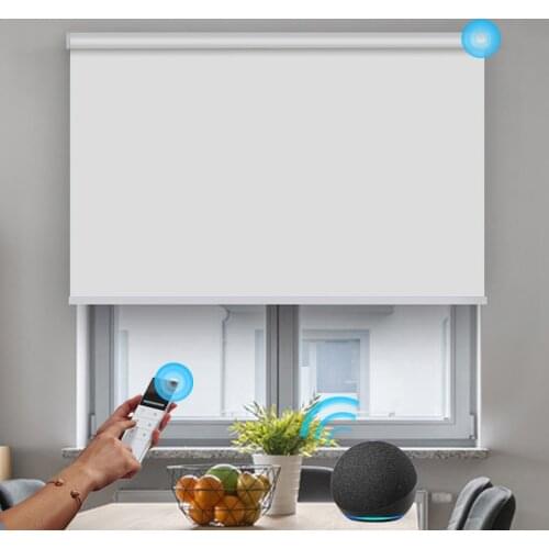 Smart Control Wi-Fi Motor Electric Roller Blinds Compatible with Google Alexa Voice Customized Size Motorized Shades