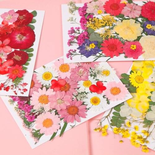 1 Bag Mix Real Nail Dried Flowers Leaf Nail Art Decor Small Dyeing Flowers Nail Stickers For DIY Nail Tips Tools