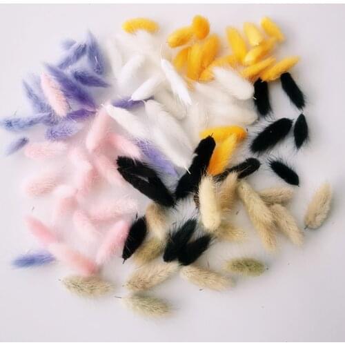 Dried Natural Bunny Tail Grass Head Flores Decorativas Wedding Deco Marriage Party DIY Garland Christmas Home Garten Dekoration