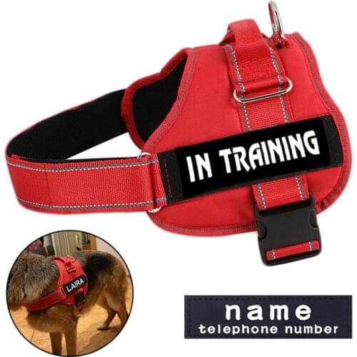 2021 Customized dog harness no pull dog collar chest Luminous Breast-band vest for Big medium dogs Pectoral dogs Personalized