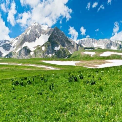 Dropship Colomac Jungle Wallpaper Blue Sky White Clouds Scenery Idyllic Plants Wall Paper 3d Custom Mural Wallpaper 3d Behang