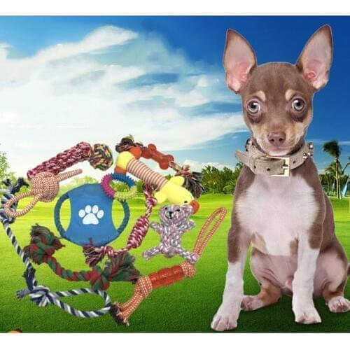Popular Pet Dog Cat Funny Set Of Fun Combination Set Plush Dog Toys Sound Toy Durable Braided Bone Rope Fit For All Pets