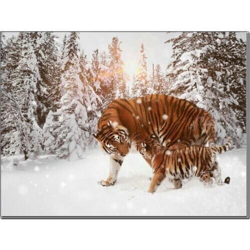 ARMYQZFull Square/Round Drill 5D DIY Diamond Painting Snow Tiger pattern 5D Rhinestone Embroidery Cross Stitch Mosaic Kit animal