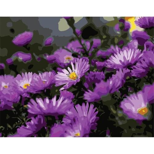 Erythromycin True 40x50cm Frameless Painting By Numbers Animals On Canvas Pictures By Numbers Home Decoration Diy Minimalism