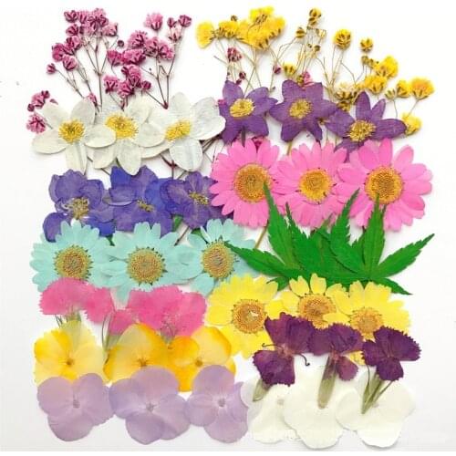 New product DIY flower material and dried flower matching material package 1 pack (about 42 pieces)